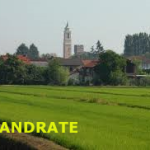 Via Matteotti 22 0321-838545